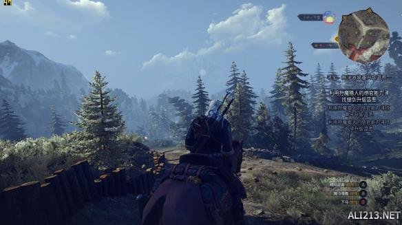 《巫师3：狂猎》A卡帧数提升方法（巫师3 a卡设置）