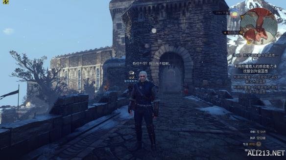 《巫师3:狂猎》A卡帧数提升方法 卡顿解决方法