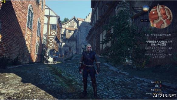 《巫师3:狂猎》A卡帧数提升方法 卡顿解决方法