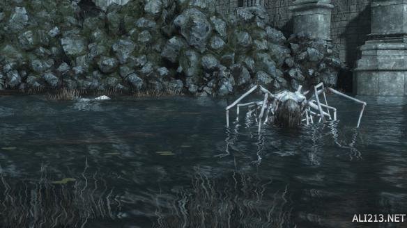 《黑暗之魂3》恶心吓人怪物图文介绍