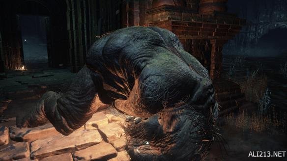 《黑暗之魂3》恶心吓人怪物图文介绍
