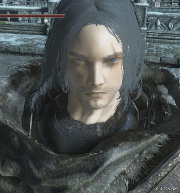 《黑暗之魂3》大盾大剑流开荒感受 黑暗之魂3 大盾