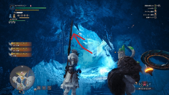 怪物猎人世界冬花芽怎么采集（怪物猎人世界冬花蕾什么样子）