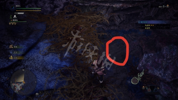 怪物猎人世界冰原小动物怎么抓 怪物猎人冰原小动物全收集