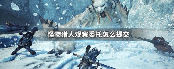 怪物猎人观察委托怎么提交（怪物猎人冰原观察委托提交不了）