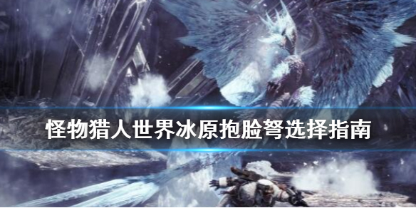 怪物猎人世界冰原抱脸弩选择指南（怪物猎人世界抱脸弩配装）