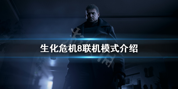 生化危机8可以联机吗 生化危机8可以两个人玩吗