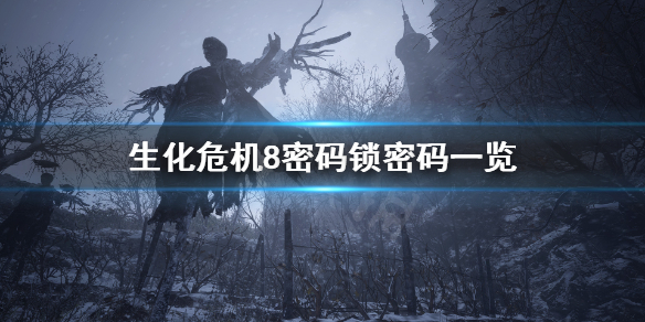 生化危机8密码锁密码是什么（生化危机8密码锁040708）