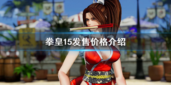 拳皇15售价多少 拳皇15whip