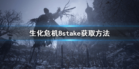 生化危机8stake怎么获得 生化危机8stake用什么子弹