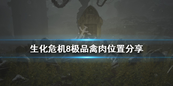 生化危机8极品禽肉怎么获得（生化危机8极品猪肉）