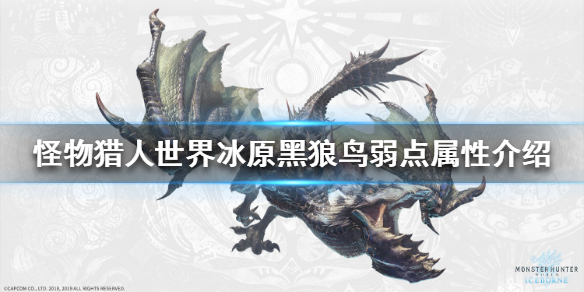 怪物猎人世界冰原黑狼鸟弱什么属性（怪物猎人冰原黑狼鸟弱点）