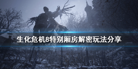 生化危机8特别厢房火堆怎么点（生化危机8特别厢房裂开的墙壁）