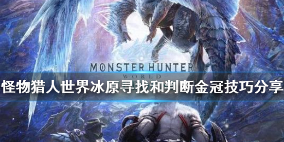 怪物猎人世界冰原如何收集金冠（怪物猎人世界冰原如何收集金冠武器）