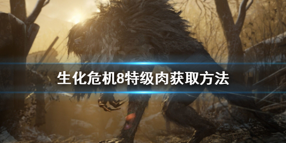 生化危机8特级肉怎么找 生化危机8特级肉在哪