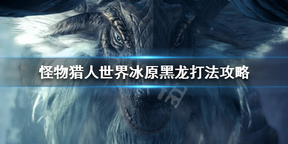 怪猎黑龙怎么打 怪猎黑龙怎么打第二遍
