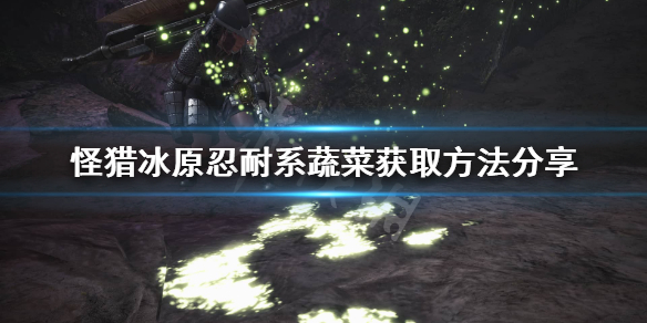 怪猎冰原忍耐系蔬菜怎么获取（怪物猎人忍耐之种）