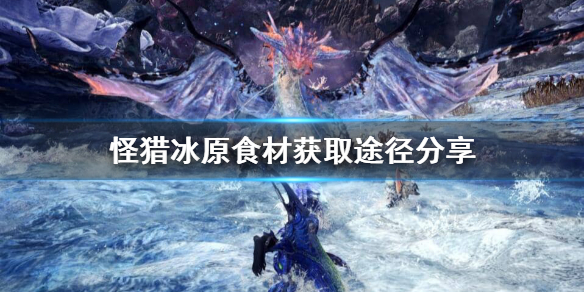 怪猎冰原食材怎么获得 怪猎冰原食材怎么获得的