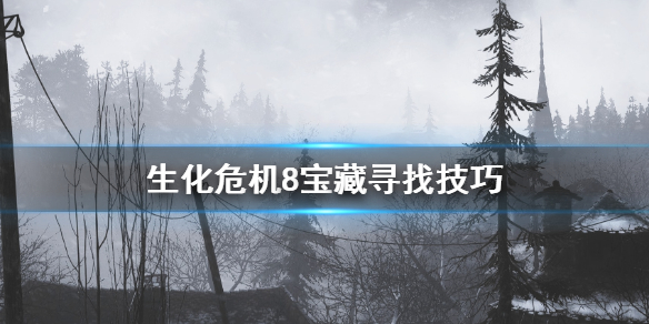 生化危机8宝藏怎么找（生化危机8藏宝点）