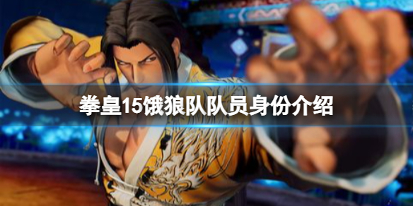 拳皇15饿狼队珍妮特厉害吗 拳皇 饿狼队