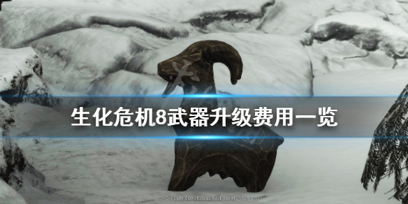 生化危机8武器升级费用一览（生化危机8武器满级属性）