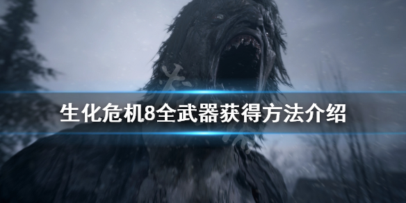 生化危机8武器怎么获得（生化危机8武器怎么获得视频）