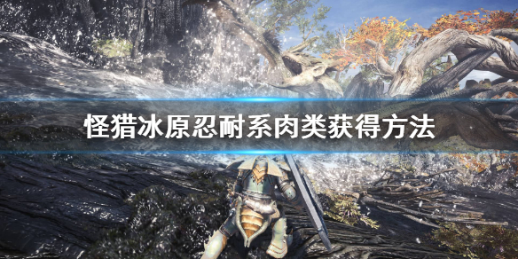 怪猎冰原忍耐系鱼类怎么获取（怪物猎人世界忍耐鱼）