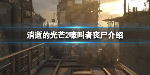 消逝的光芒2嚎叫者是什么（消逝的光芒2ign）