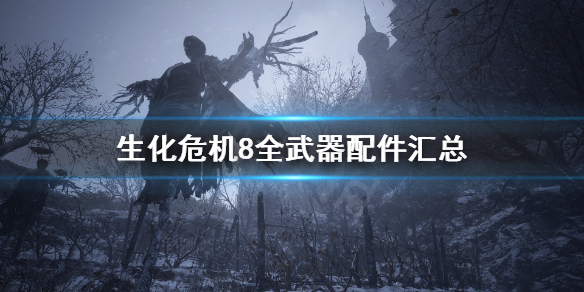 生化危机8武器配件在哪（生化危机8武器配件在哪获得）