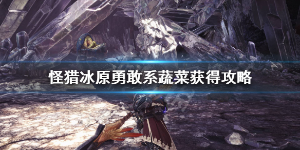怪猎冰原勇敢系蔬菜怎么获取 怪物猎人世界勇敢系食材