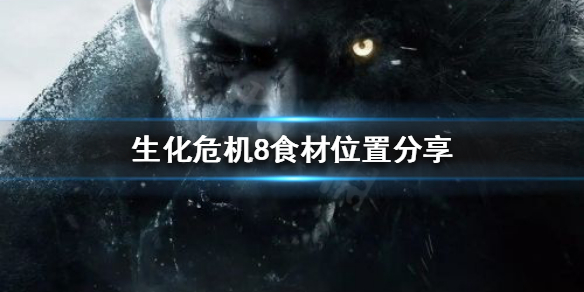 生化危机8如何制作菜谱 生化危机8怎么做料理