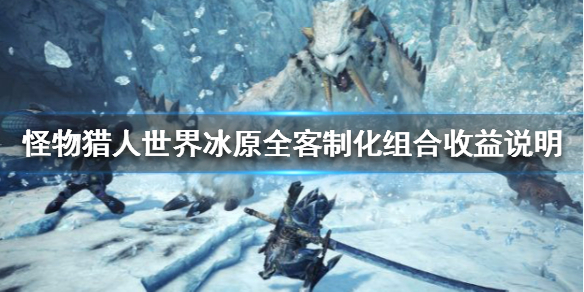 怪物猎人世界冰原客制化效果介绍 怪物猎人世界冰原客制什么意思