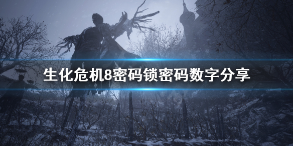 生化危机8密码锁怎么解（生化危机8密码锁040708）