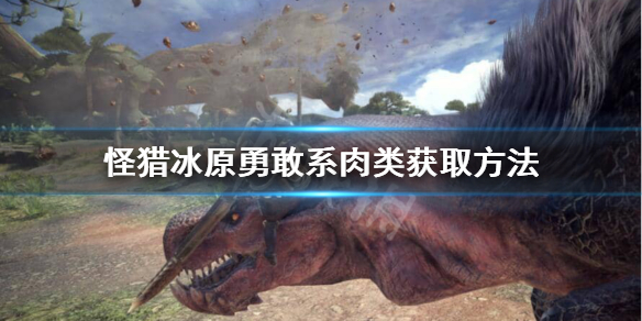 怪猎冰原勇敢系肉类怎么获得 怪物猎人冰原勇气之证怎么获得