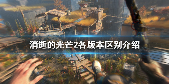 消逝的光芒2该买哪个版本（消逝的光芒2需要什么配置）