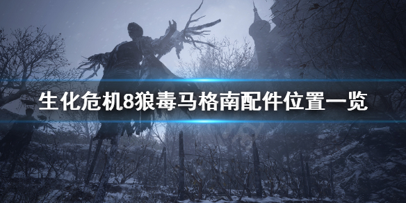生化危机8马格南配件在哪（生化危机8骏马）