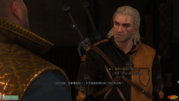 《巫师3：狂猎》强档攻略