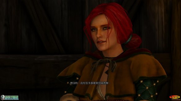 《巫师3：狂猎》强档攻略