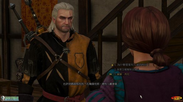《巫师3：狂猎》强档攻略