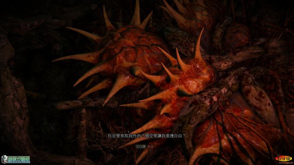 《巫师3：狂猎》强档攻略