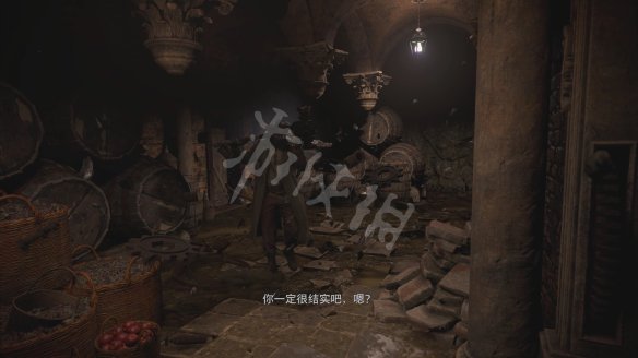 生化危机8村庄图文攻略 主线流程+战斗系统+物品收集+Boss打法+关卡解谜 游戏操作