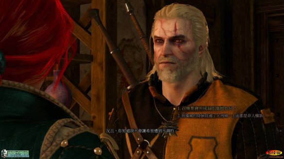 《巫师3：狂猎》强档攻略