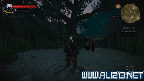 《巫师3：狂猎》希里第一次掉落地点位置解析攻略