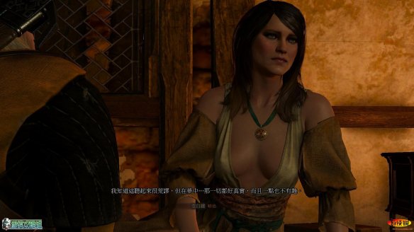 《巫师3：狂猎》强档攻略