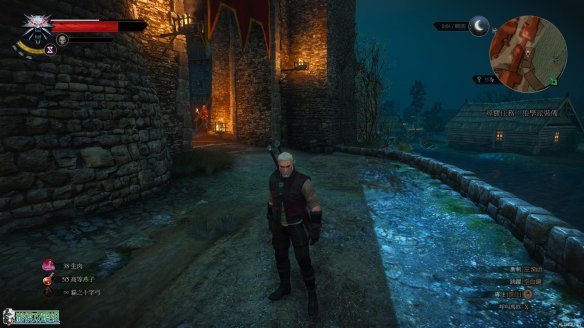 《巫师3：狂猎》图文攻略 主线任务+支线任务+狩猎任务+操作介绍+技能说明 操作介绍