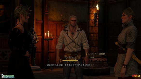 《巫师3：狂猎》强档攻略
