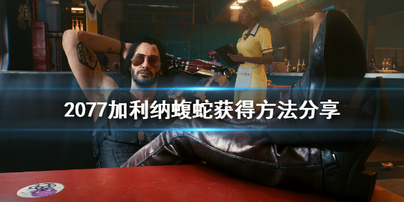 赛博朋克2077加利纳蝮蛇怎么获得 赛博朋克2077加利纳g240在哪