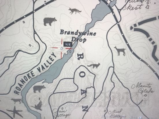 荒野大镖客2捕猎大师挑战+鸟类刷新点及帽子素材位置图文详解 捕猎大师挑战