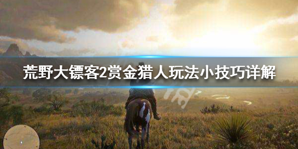 荒野大镖客2赏金猎人玩法小技巧详解（荒野大镖客2赏金猎人怎么玩）