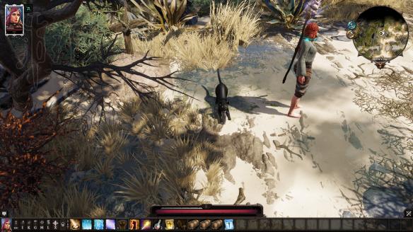 神界原罪2萌新入门小贴士（神界原罪2萌新入门小贴士在哪）